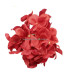 VARA HORTENSIA "MINI"