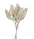 PORCELAIN LEAF