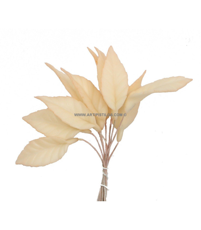 PORCELAIN LEAF