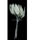 PORCELAIN LEAF