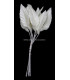 PORCELAIN LEAF