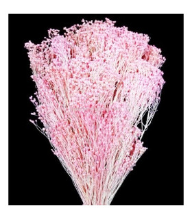 Flor Preservada 40 X 25 Cms. Rosa Pastel - tocados para