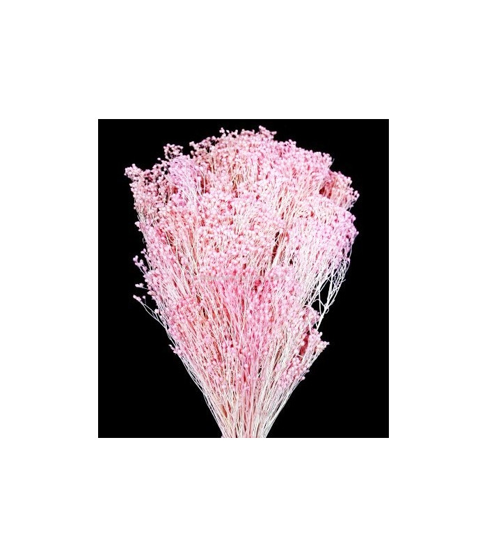 FLOR PRESERVADA PARA DECORACION DE TOCADOS Y CORONITAS