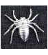 METALLIC SPIDER 33 X 40 mm