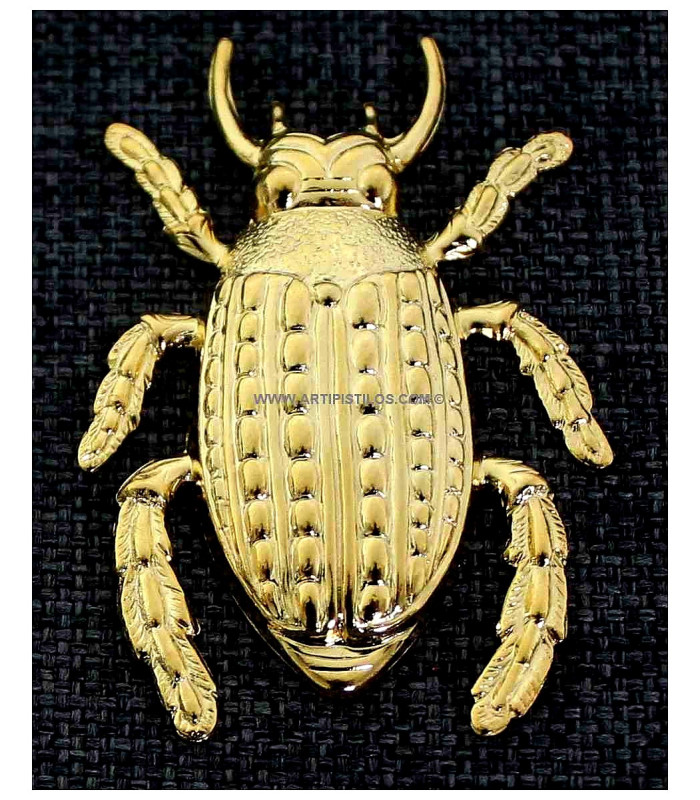 MELOLONTHA 37 X 56 mm