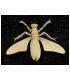 METALLIC FIREFLY 46 X 60 mm