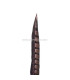 PENA DE FAISÃO LADY AMHERST 55 - 60 CMS.
