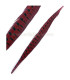 PHEASANT FEATHER 61/66 CMS.