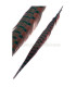 PHEASANT FEATHER 61/66 CMS.