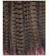 PHEASANT FEATHER 61/66 CMS.