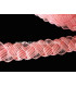 RACELLO BRAID 33 MM.