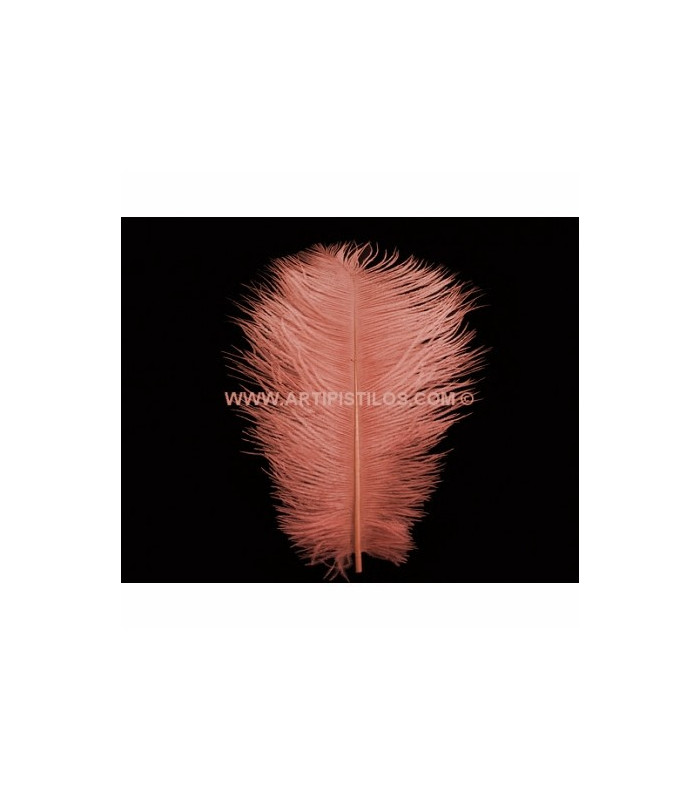 PLUMA DE AVESTRUZ 25-30 CMS.