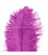 OSTRICH FEATHER FIRST QUALITY 50-55 CMS.