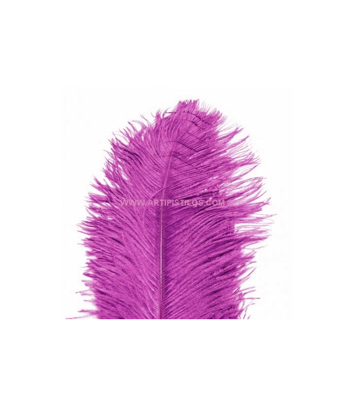 OSTRICH FEATHER FIRST QUALITY 50-55 CMS.