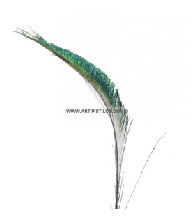 PLUMA DE PAVO REAL ESPADA 60 CMS.