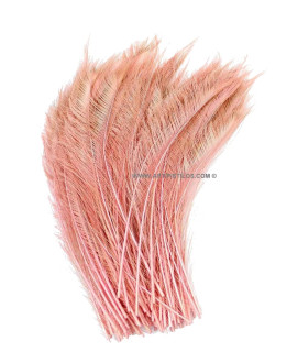 PLUMA PAVO REAL ESPADA 30 CMS.