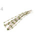 STAMEN BRANCH 39 CMS.