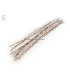 STAMEN BRANCH 39 CMS.