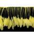 STRIPPED ROOSTER FEATHERS FIRST QUALITY  - 10 CMS.