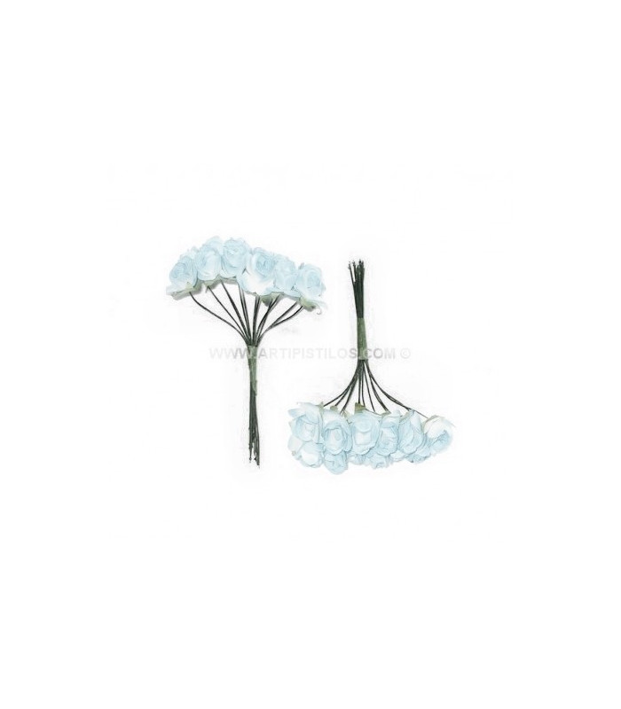 12 FLOWERS BUNDLE