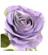 FABRIC ROSE "ARIADNA"