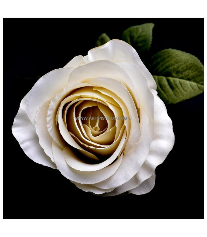 FABRIC ROSE "ARIADNA"