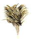 ROOSTER FEATHER MOUNT