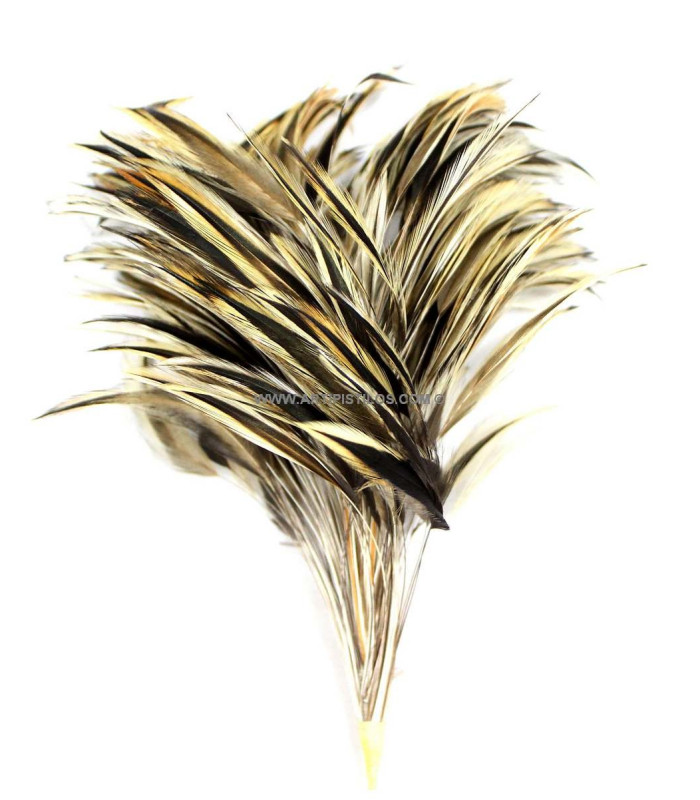 ROOSTER FEATHER MOUNT