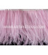 FRINGE OSTRICH FEATHERS 10 CMS.
