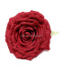 ROSA DE TEÇIDO 15 X 5 CMS.