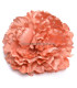 FABRIC PEONY 17 CM