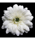 FABRIC DAISY 6.5 CM