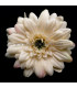 FABRIC DAISY 6.5 CM