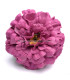 Fabric zinnia 8.5 CM