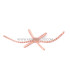 Braided natural straw ornament "ASPAS"