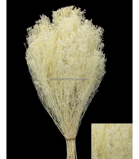 Flor Preservada Para Decoracion De Tocados Y Coronitas Marfil 40 X 25 Cms. - adornos florales
