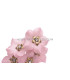 FLOR DE PORCELANA FRESCA 3 CM