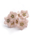 COLD PORCELAIN FLOWER 3 CM