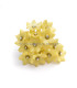FLOR DE PORCELANA FRESCA 2,4 CM