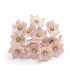 COLD PORCELAIN FLOWER 2.4 CM