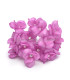 COLD PORCELAIN FLOWER 2.3 CM