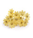 COLD PORCELAIN FLOWER 2.1 CM
