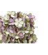 FABRIC HYDRANGEA