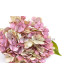 FABRIC HYDRANGEA
