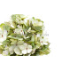 FABRIC HYDRANGEA