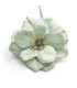 FABRIC ANEMONE