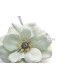 FABRIC ANEMONE