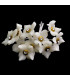 FLOR DE PORCELANA FRIA 2 CM CON STRASS