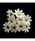 FLOR DE PORCELANA FRÍA 2,1 CM
