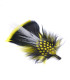 Adornos de plumas para  sombreros/ 12 modelos